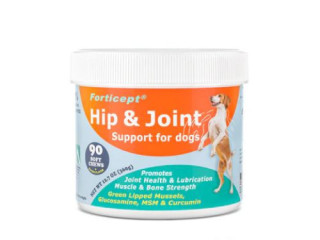 Hip and Joint Supplements for Dogs