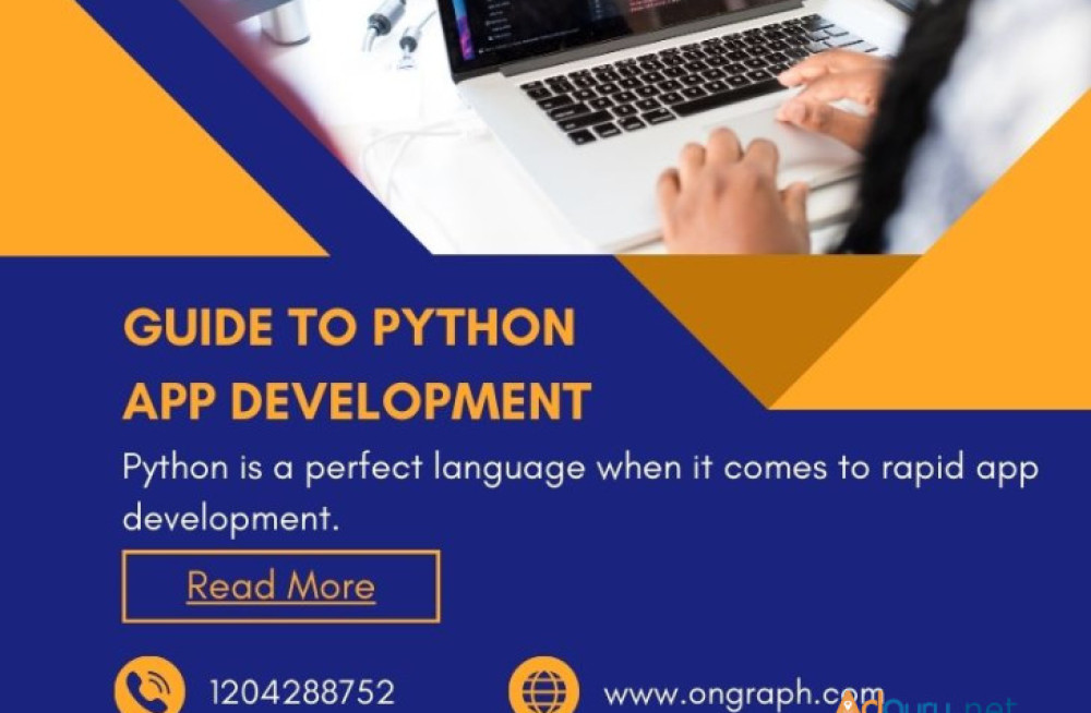 python-development-company-web-development-services-2024-big-0
