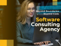 best-software-consulting-company-small-0