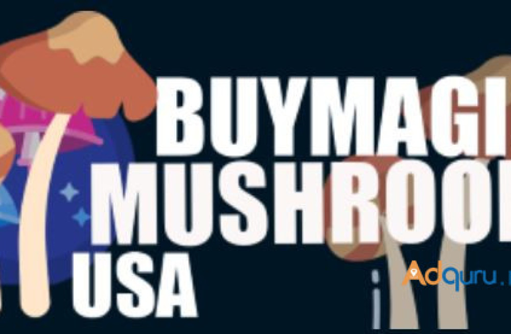 buy-magic-mushroom-usa-big-0