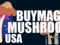 buy-magic-mushroom-usa-small-0