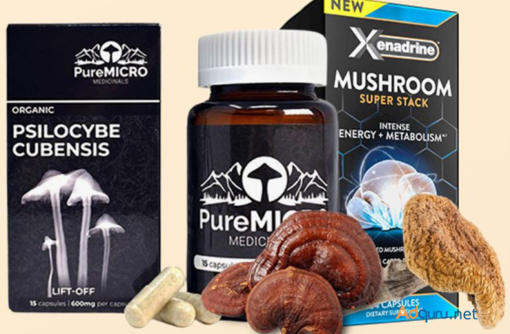 get-the-best-magic-mushrooms-big-0