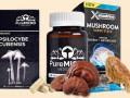 get-the-best-magic-mushrooms-small-0