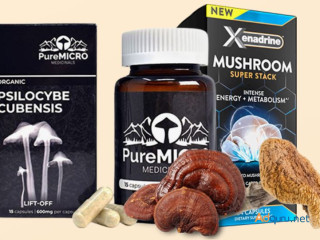 Get The Best Magic Mushrooms