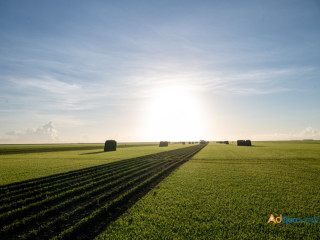 StarTurf: Florida's Premier Sod Farms