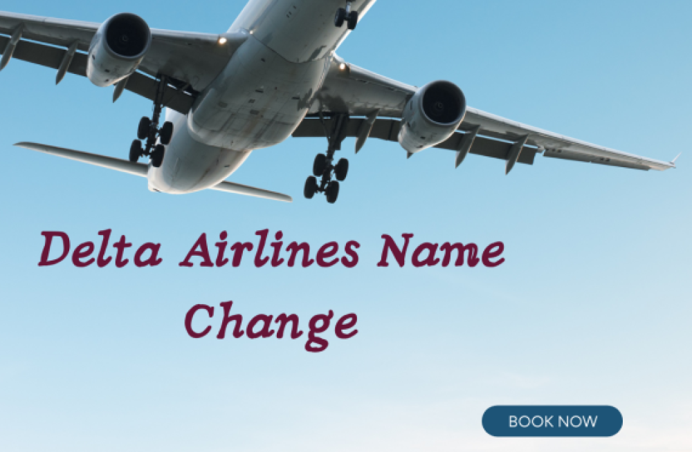 how-to-change-name-on-delta-airlines-ticket-big-0