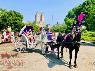 Best Horse Carriage Rides in New York