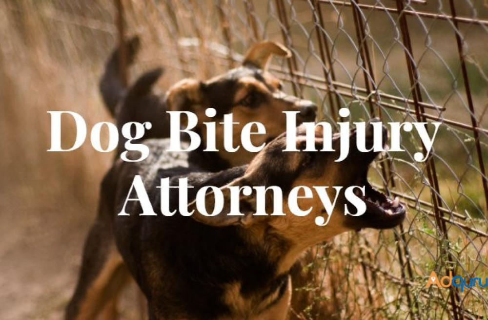 dog-bite-injury-lawyer-big-0