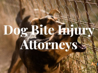 Dog Bite Injury Lawyer