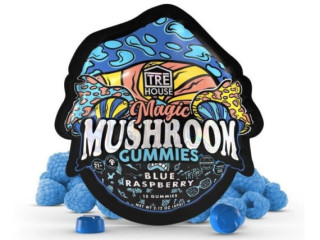 TRE House Magic Mushroom Gummies