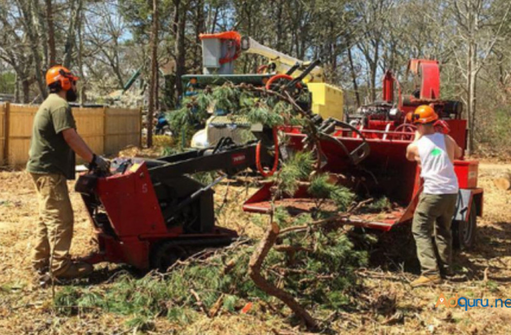 landscaping-spring-clean-up-big-0