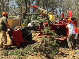 Landscaping Spring Clean Up