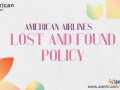 american-airlines-lost-and-found-policy-small-0