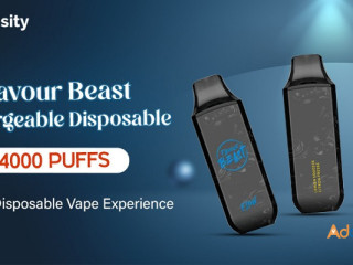 Flavour Beast Rechargeable Disposable-4000 Puffs:The Best Disposable Vape Experience