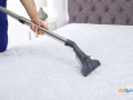 best-pet-carpet-cleaner-bal-harbor-small-0