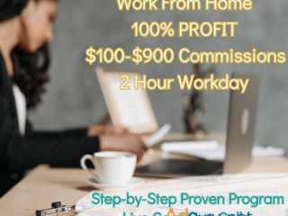 EARN BIG, WORK LITTLE: $900 DAILY IN JUST 2 HOURS!