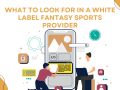 white-label-fantasy-sports-software-small-1