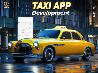 Top Ridehailing App Development Company