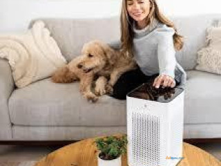 Best Room Air Purifier by Medify Air