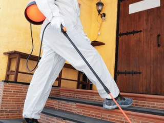 Pest Control Services in Windham Maine