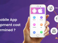 how-mobile-app-cost-is-determined-what-is-the-minimum-cost-of-developing-an-app-small-0