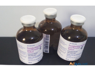 BUY NEMBUTAL PENTOBARBITAL SODIUM POWDER/LIQUID,LSD,XTC,SHROOMS,COCAINE