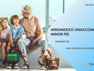 How Much Aeromexico Unaccompanied Minor Fee