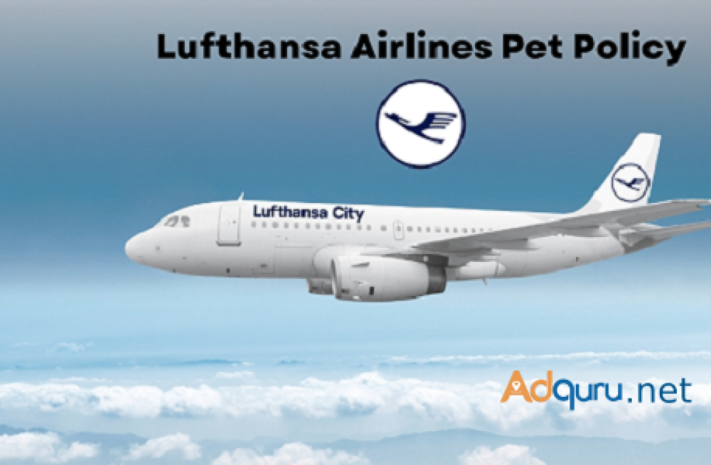 a-comprehensive-guide-to-lufthansas-pet-policy-big-1