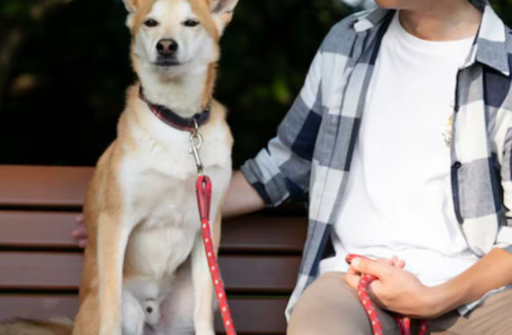 hands-free-dog-leashes-for-large-dogs-big-0