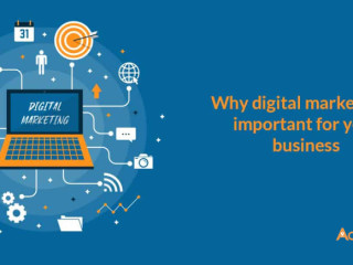 Why Digital Marketing is Important for Your Business