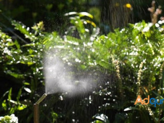 Backyard Mosquito System