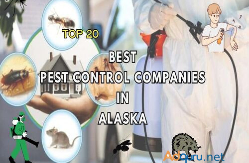 top-20-best-pest-control-companies-in-anchorage-alaska-usa-big-0