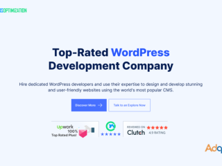 Custom WordPress Web Development Services Company