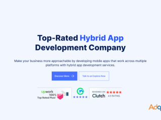 Hybrid App Development Company | Hybrid App Development Services