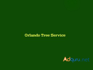 Tree Trimming Service In Orlando Florida