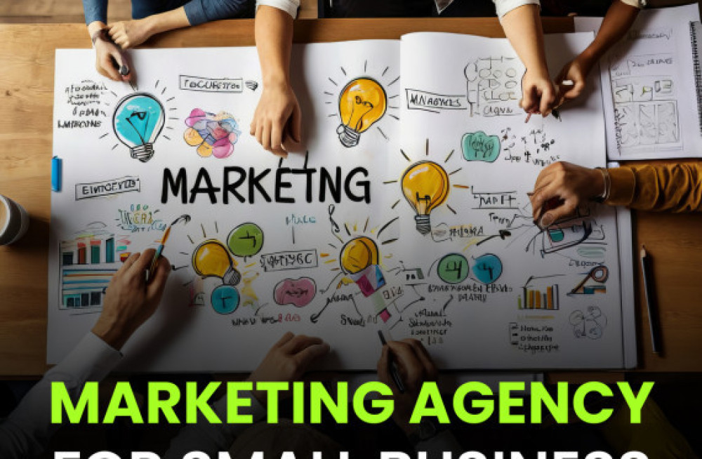 professional-marketing-agency-for-small-businesses-to-grow-big-0