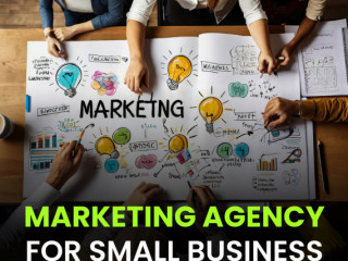 Professional Marketing Agency for Small Businesses to Grow