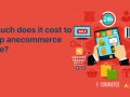 how-much-does-it-cost-to-develop-an-ecommerce-website-small-0