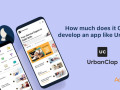 how-much-does-it-cost-to-develop-an-app-like-urbanclap-small-0