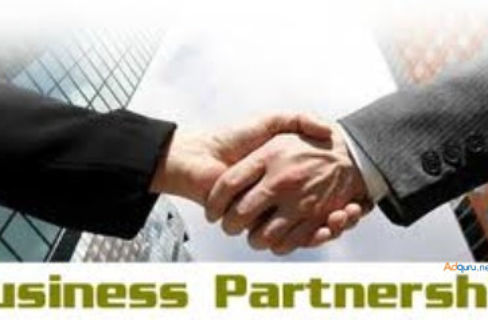 investor-looking-for-partner-business-opportunities-big-0