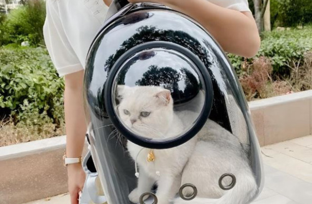 luxury-cat-space-capsule-transparent-backpack-big-2