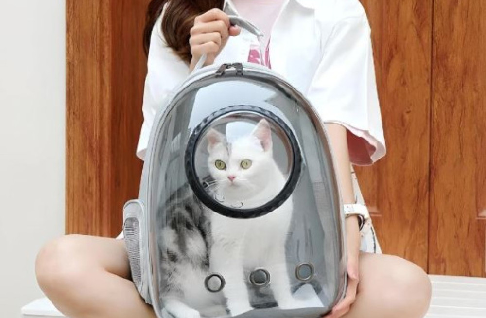 luxury-cat-space-capsule-transparent-backpack-big-1