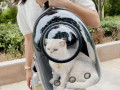 luxury-cat-space-capsule-transparent-backpack-small-2