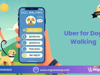 How to Build a Dog Walking App like Uber