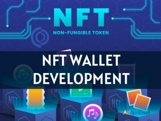 NFT Wallet Development Company - Coinsclone