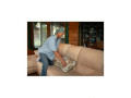 professional-upholstery-cleaning-newport-beach-small-0