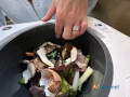 countertop-food-composter-small-0