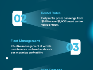 Is an Exotic Car Rental Business Profitable?