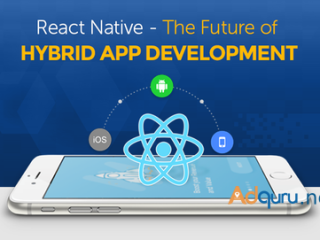 Hire Dedicated ReactJS Developers