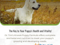 dr-tims-pet-food-company-small-1